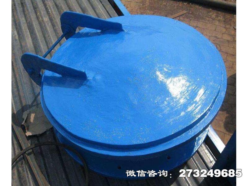 昌黎县污水管用玻璃钢拍门